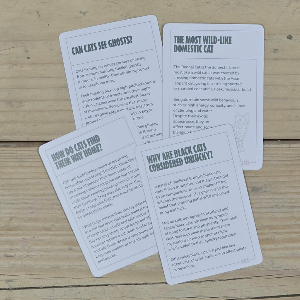 100 Become an Expert in Cats Cards