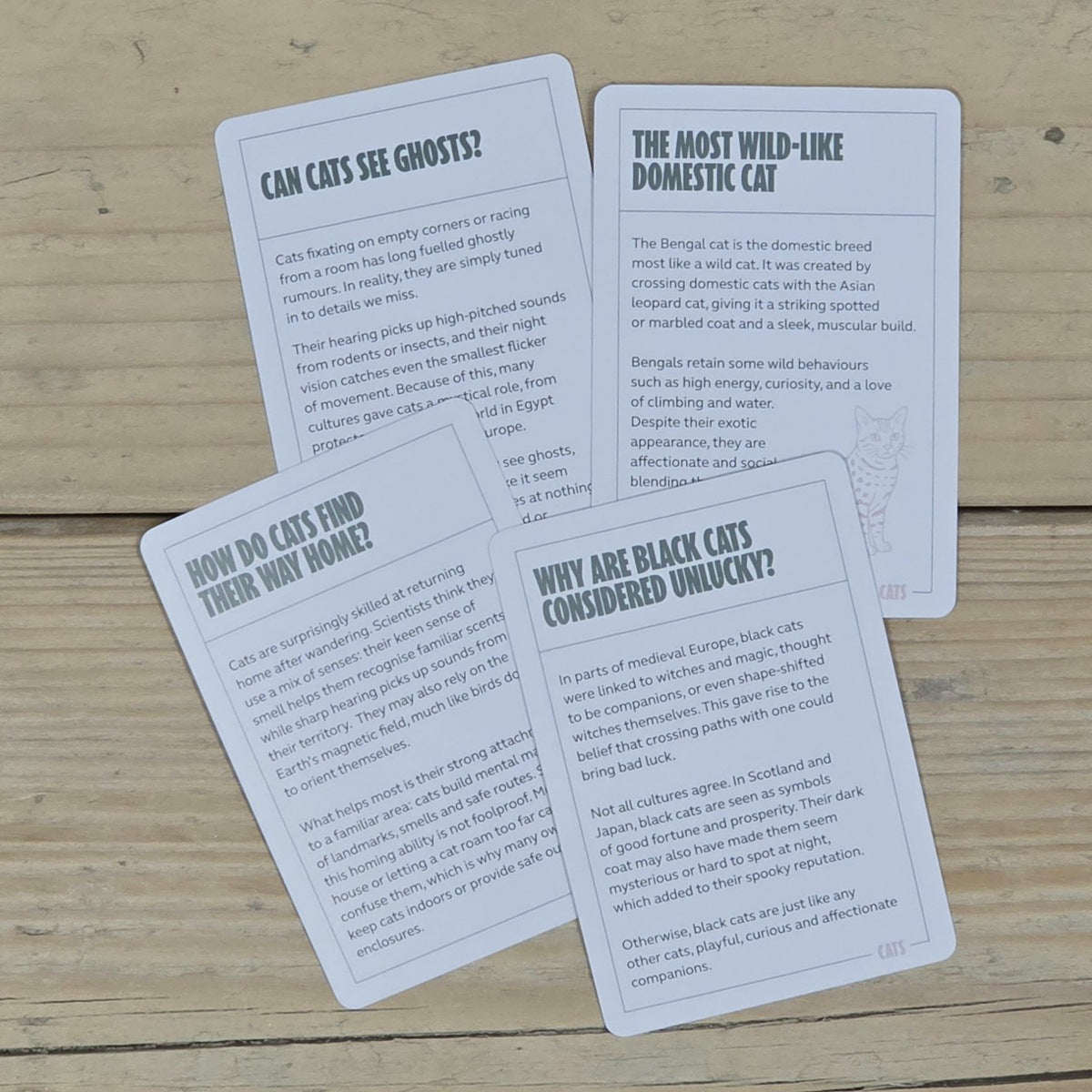 100 Become an Expert in Cats Cards