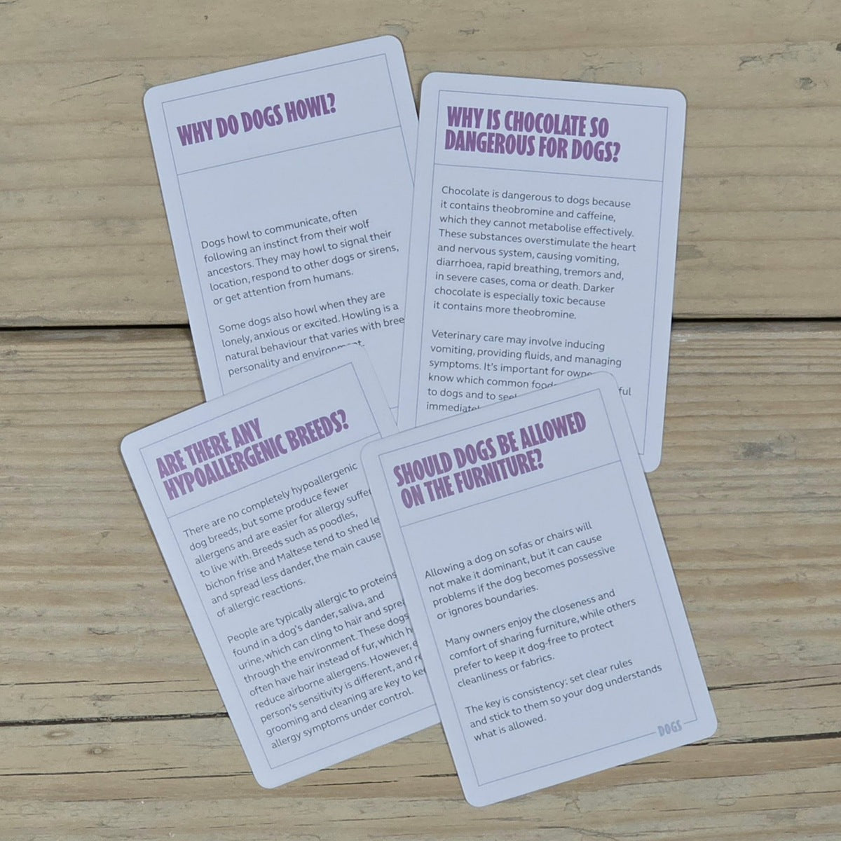 100 Become an Expert in Dogs Cards