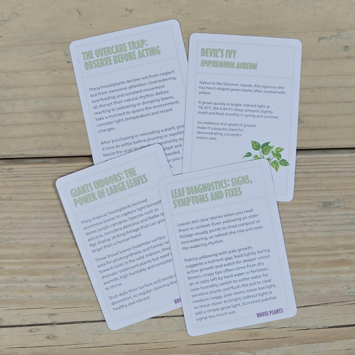 100 Become an Expert in House Plants Cards