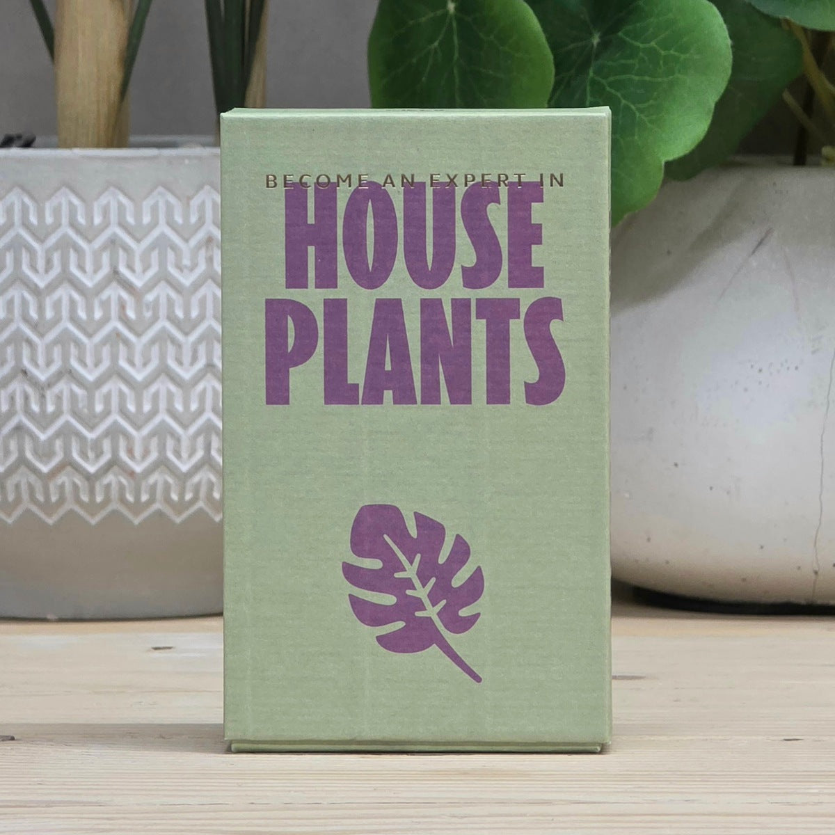 100 Become an Expert in House Plants Cards