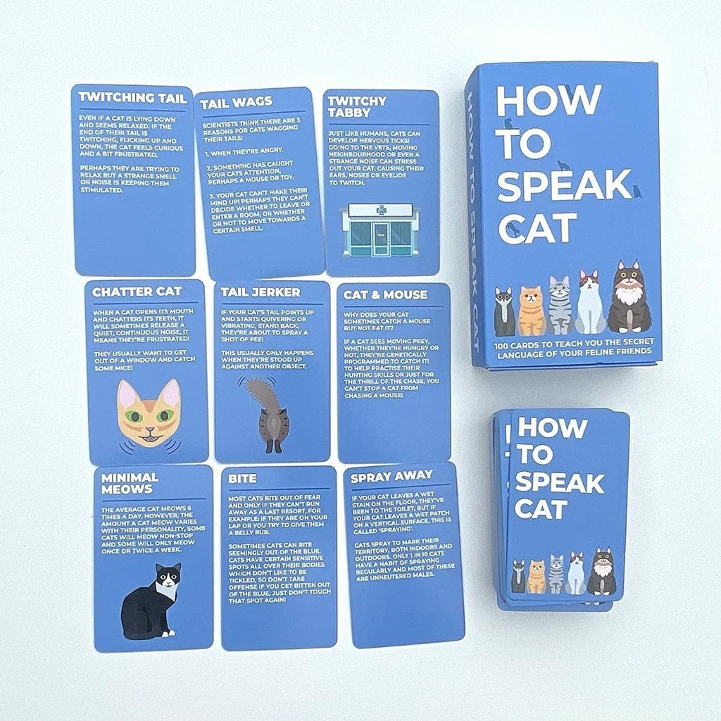Set of 'How to Speak Cat' cards on a light blue background