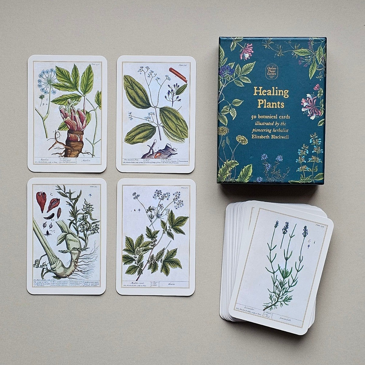 Botanical cards and their box arranged on a neutral beige background. The set includes four illustrated cards showing plant drawings, a stack of cards, and a teal box labeled 'Healing Plants' with floral artwork.