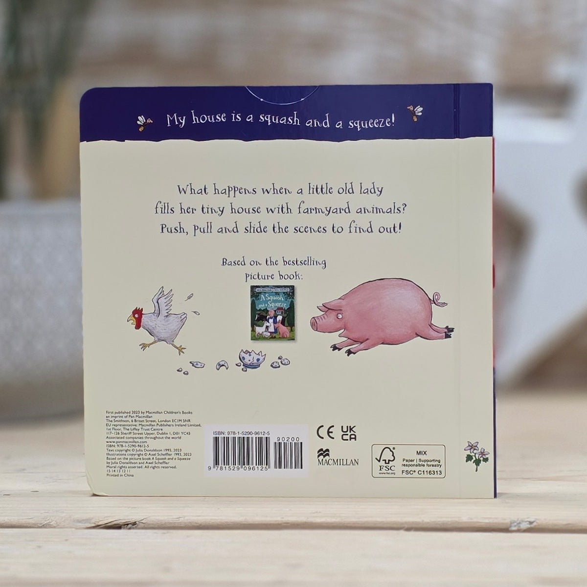 The back cover of a children's picture book titled 'My house is a squash and a squeeze!' resting on a light wooden surface with a blurred outdoor background.