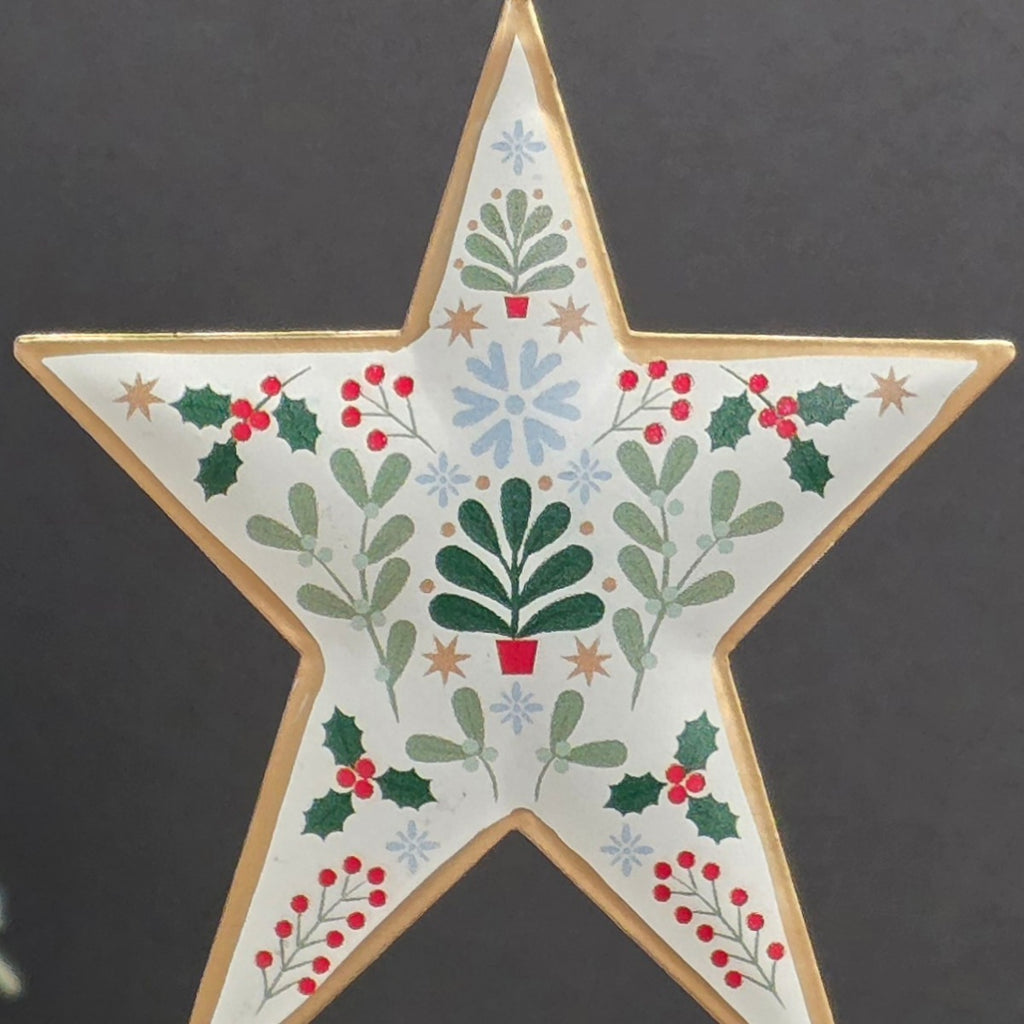 Alpine Tin Star Hanging Decoration