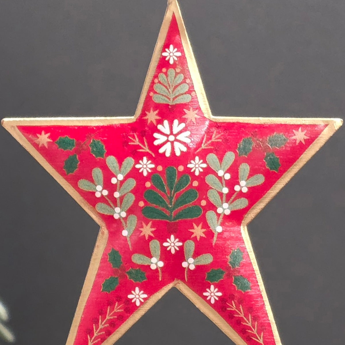 Alpine Tin Star Hanging Decoration