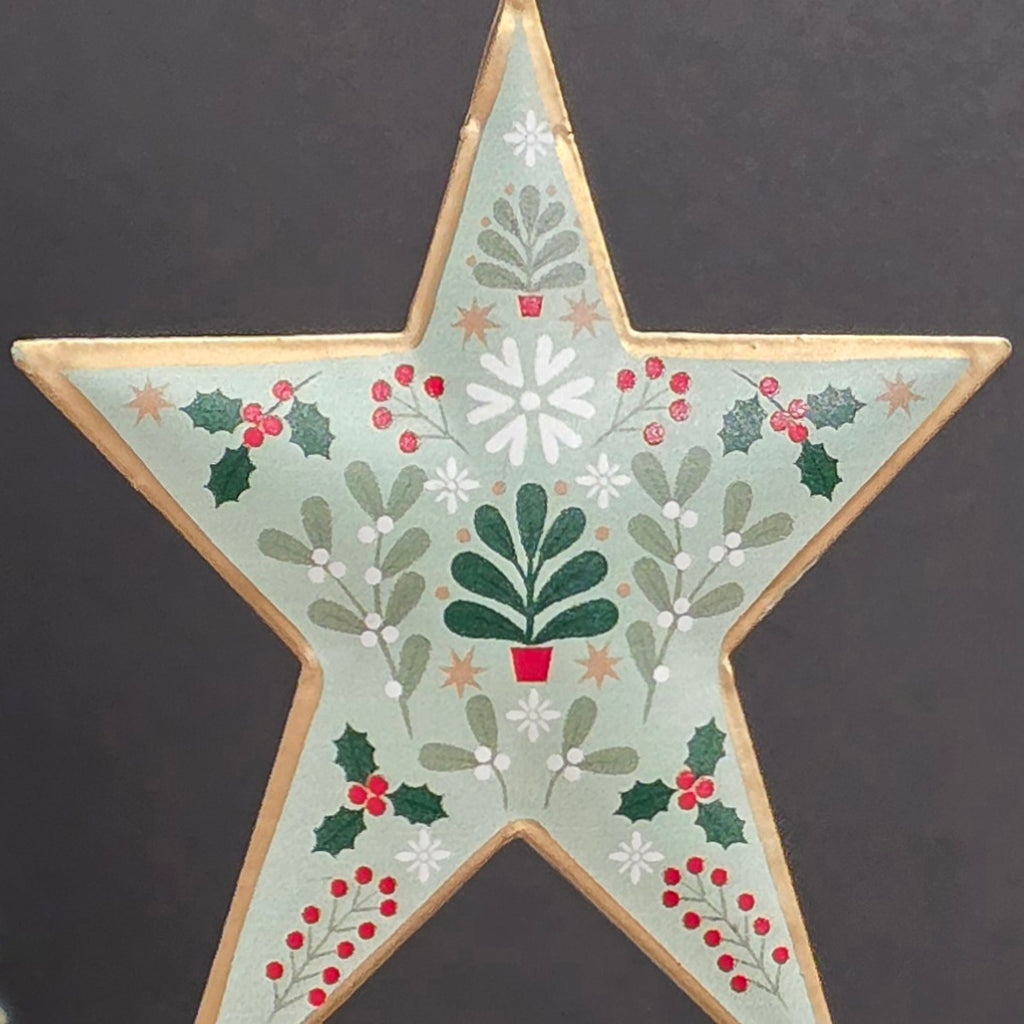 Alpine Tin Star Hanging Decoration