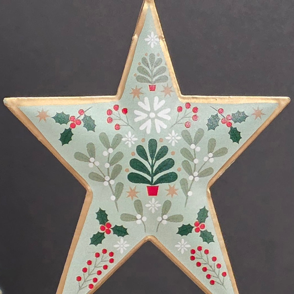 Alpine Tin Star Hanging Decoration