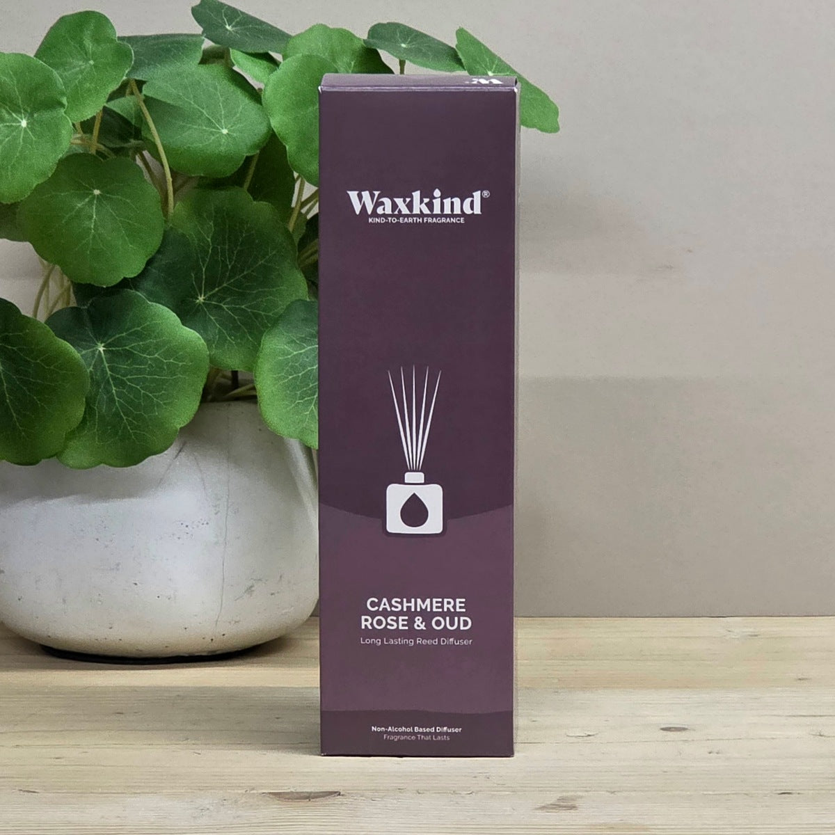 A tall rectangular box of Waxkind Cashmere Rose & Oud reed diffuser scent, standing on a light wood surface with a potted green plant behind it against a neutral beige wall.