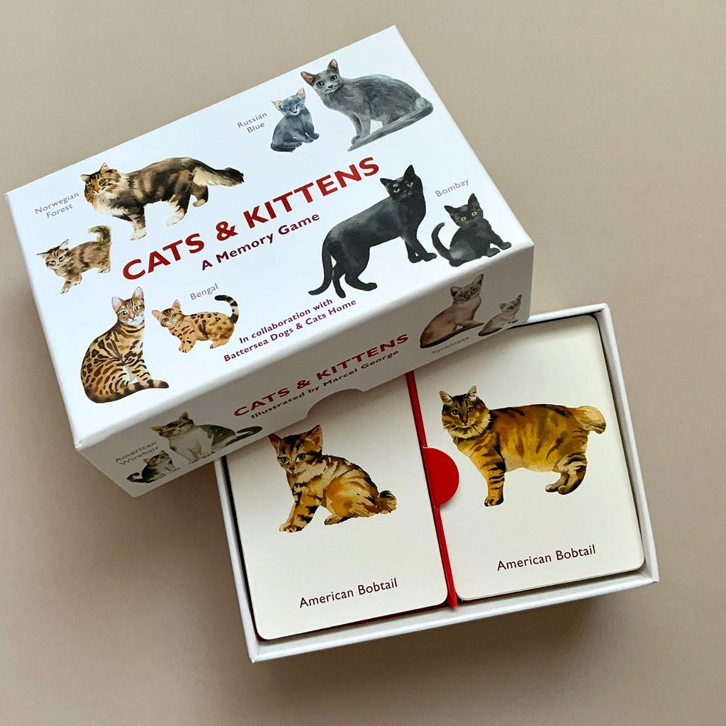 Memory game box with cat and kitten illustrations on a beige background