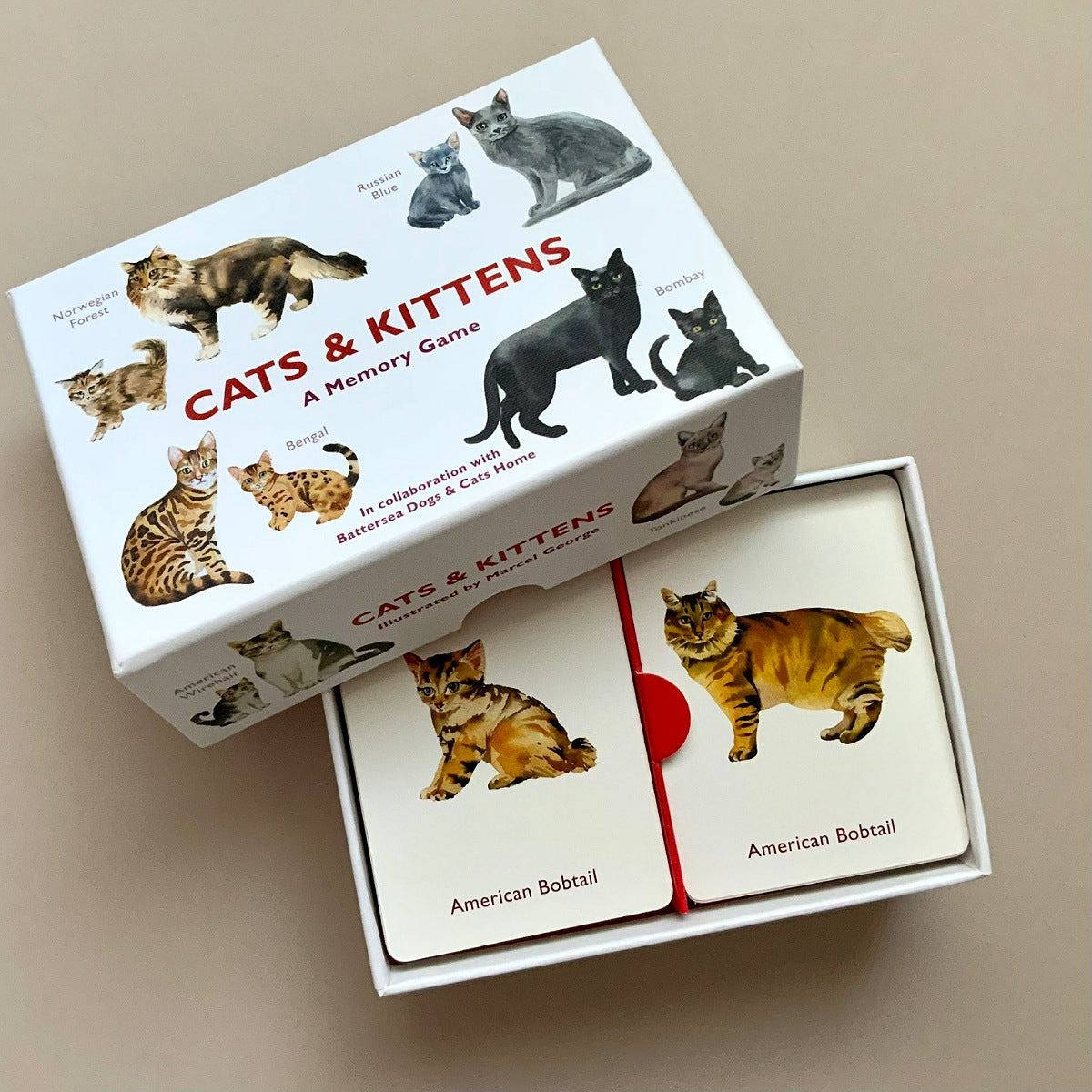 Memory game box with cat and kitten illustrations on a beige background
