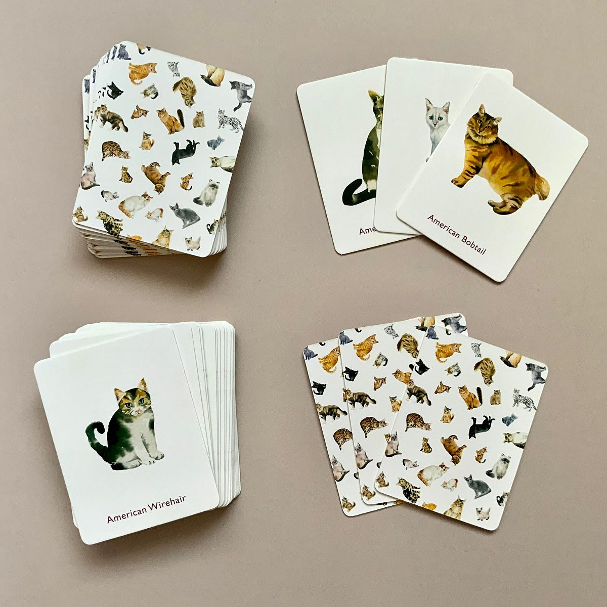 Set of cards featuring images of cats on a beige background
