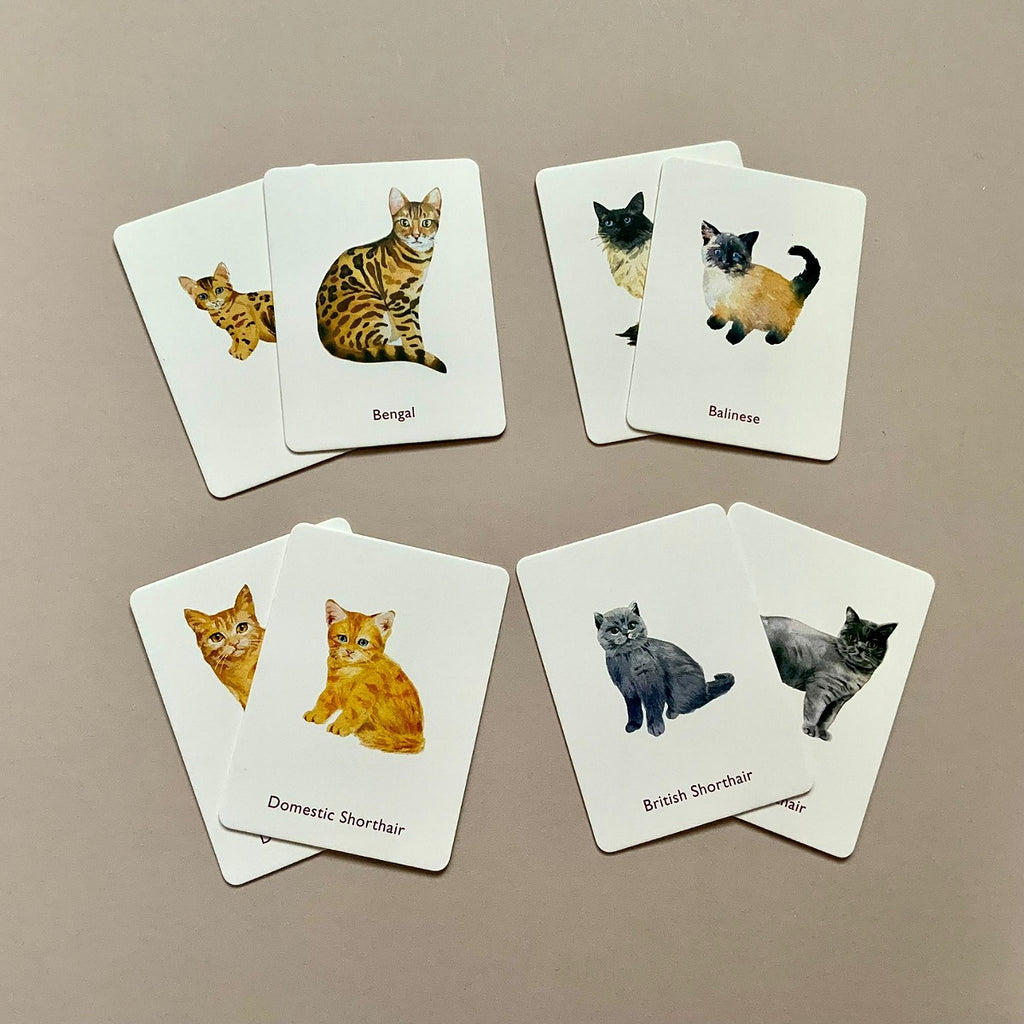 Cats And Kittens Memory Game