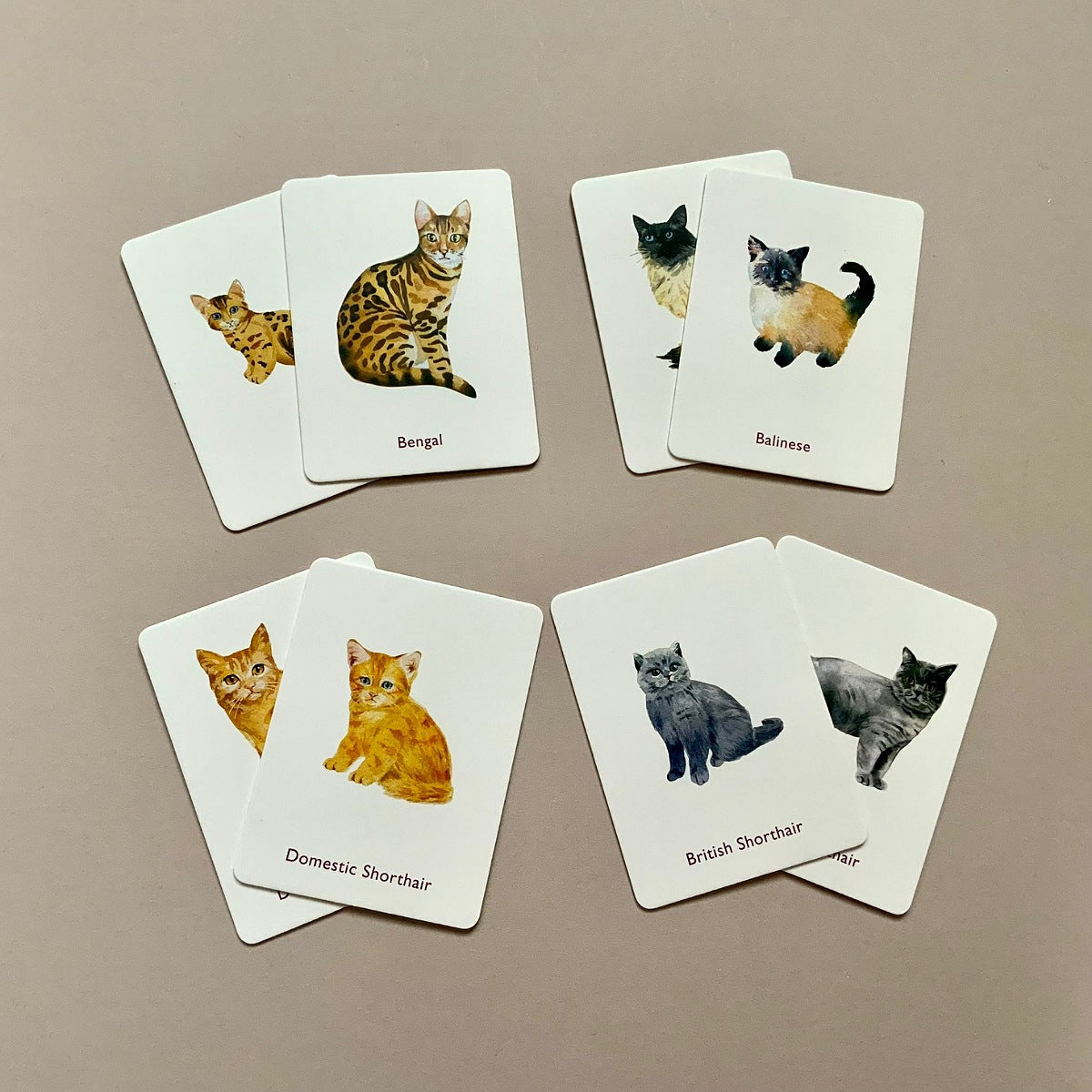 Cats And Kittens Memory Game