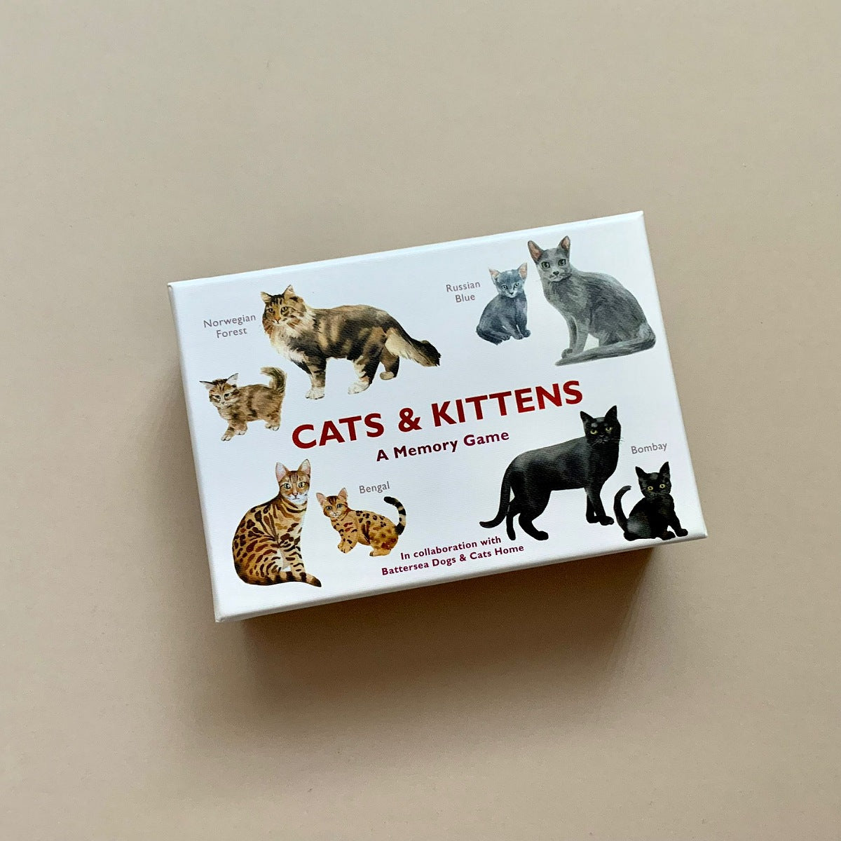 Memory game box featuring illustrations of cats and kittens on a beige background