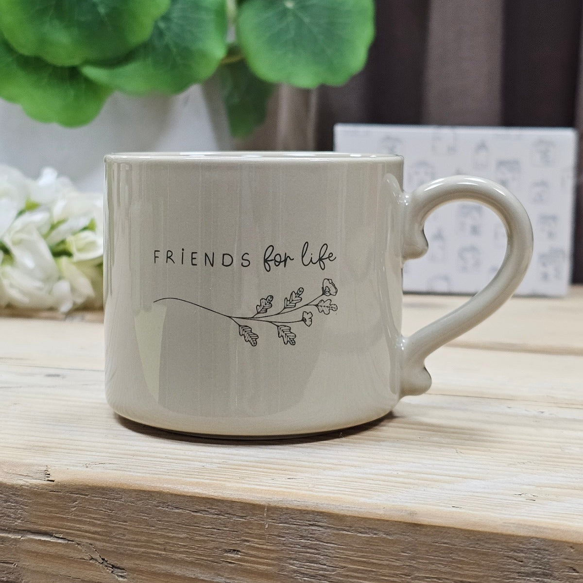 Ceramic Mug 'Friends For Life'