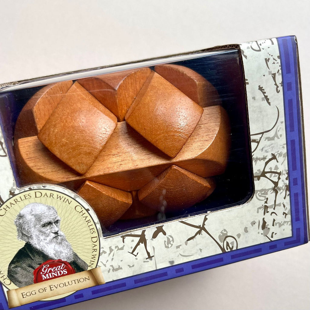 Wooden geometric puzzle in a box with Charles Darwin label