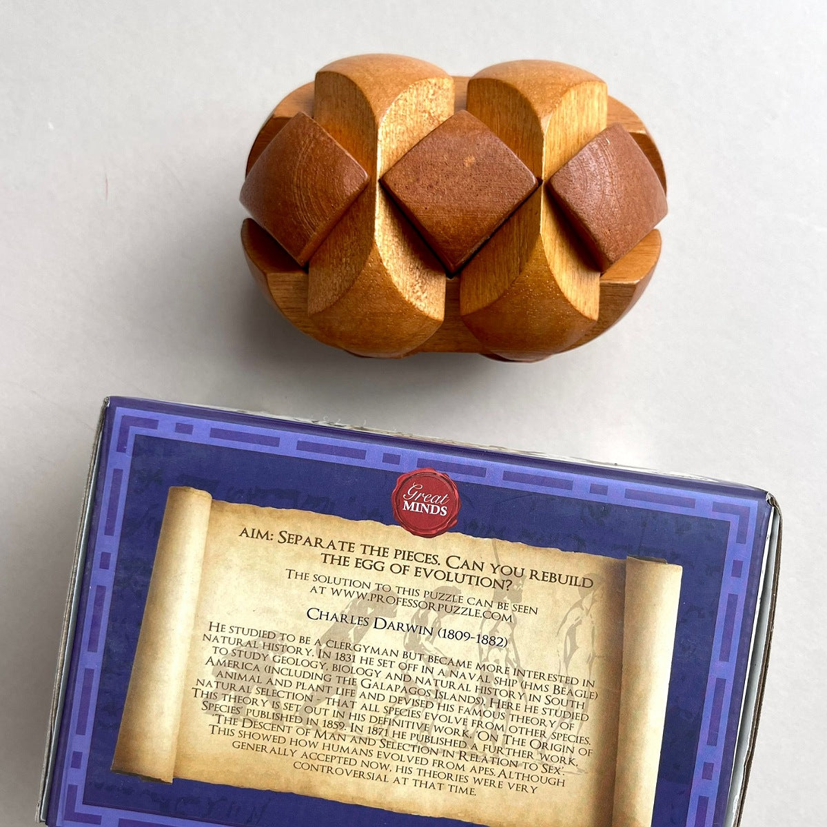 Darwin's Egg of Evolution Wooden Puzzle