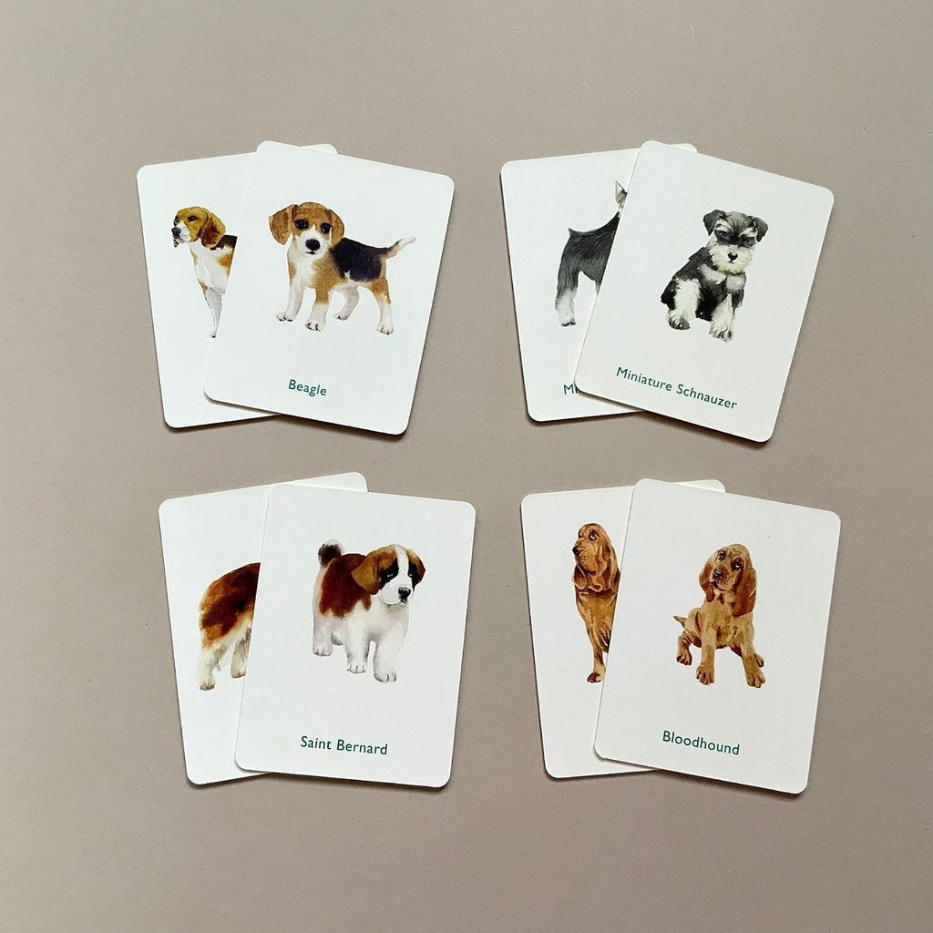Dogs And Puppies Memory Game