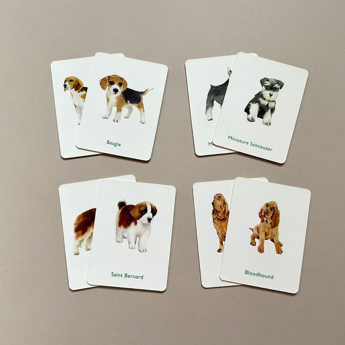 Dogs And Puppies Memory Game