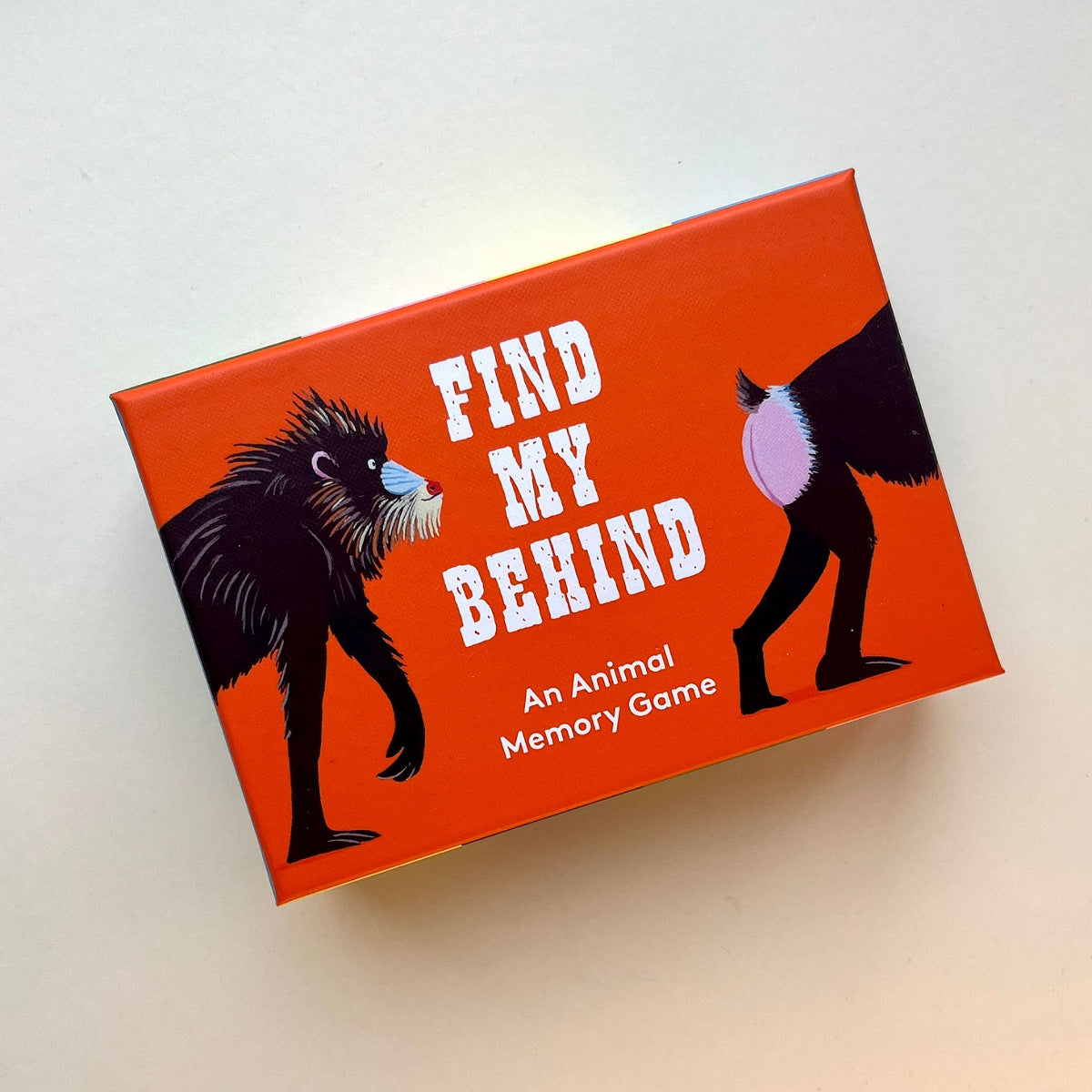 Boxed game of 'Find My Behind' animal memory game with cartoon lions on an orange background