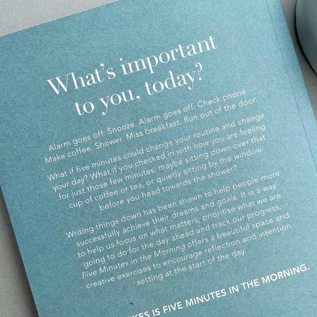Back of a book with text on a grey surface