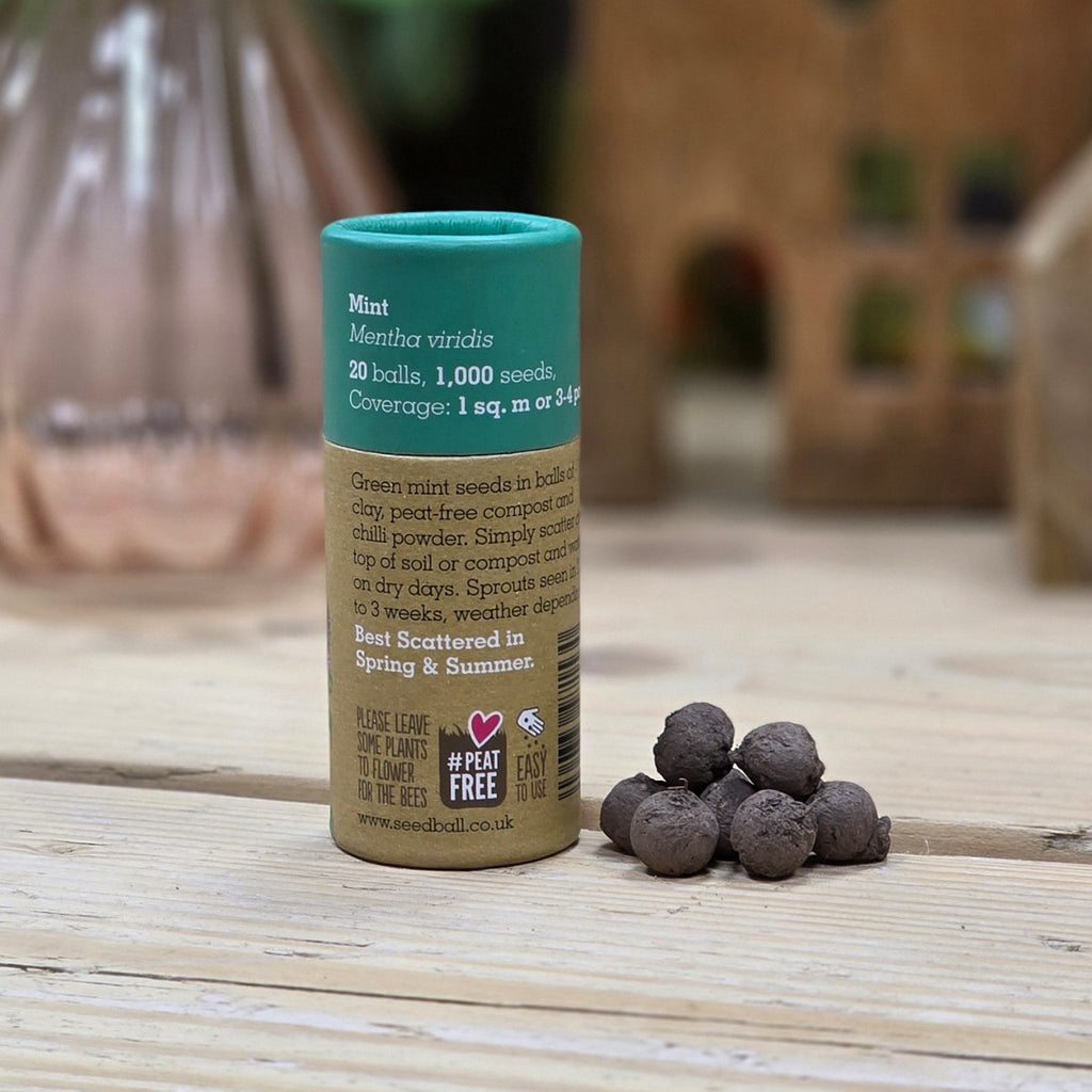 Herb Seed Balls in a Tube - Mint
