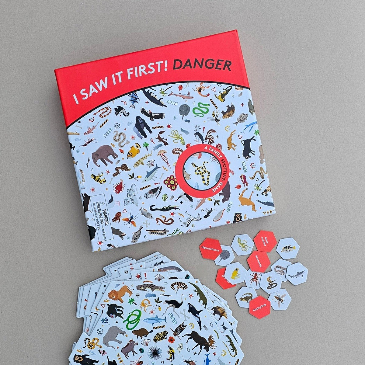 An educational children's game titled 'I SAW IT FIRST! DANGER' shown on a neutral grey background, alongside a stack of illustrated danger-themed tabs and small red hexagonal cards.