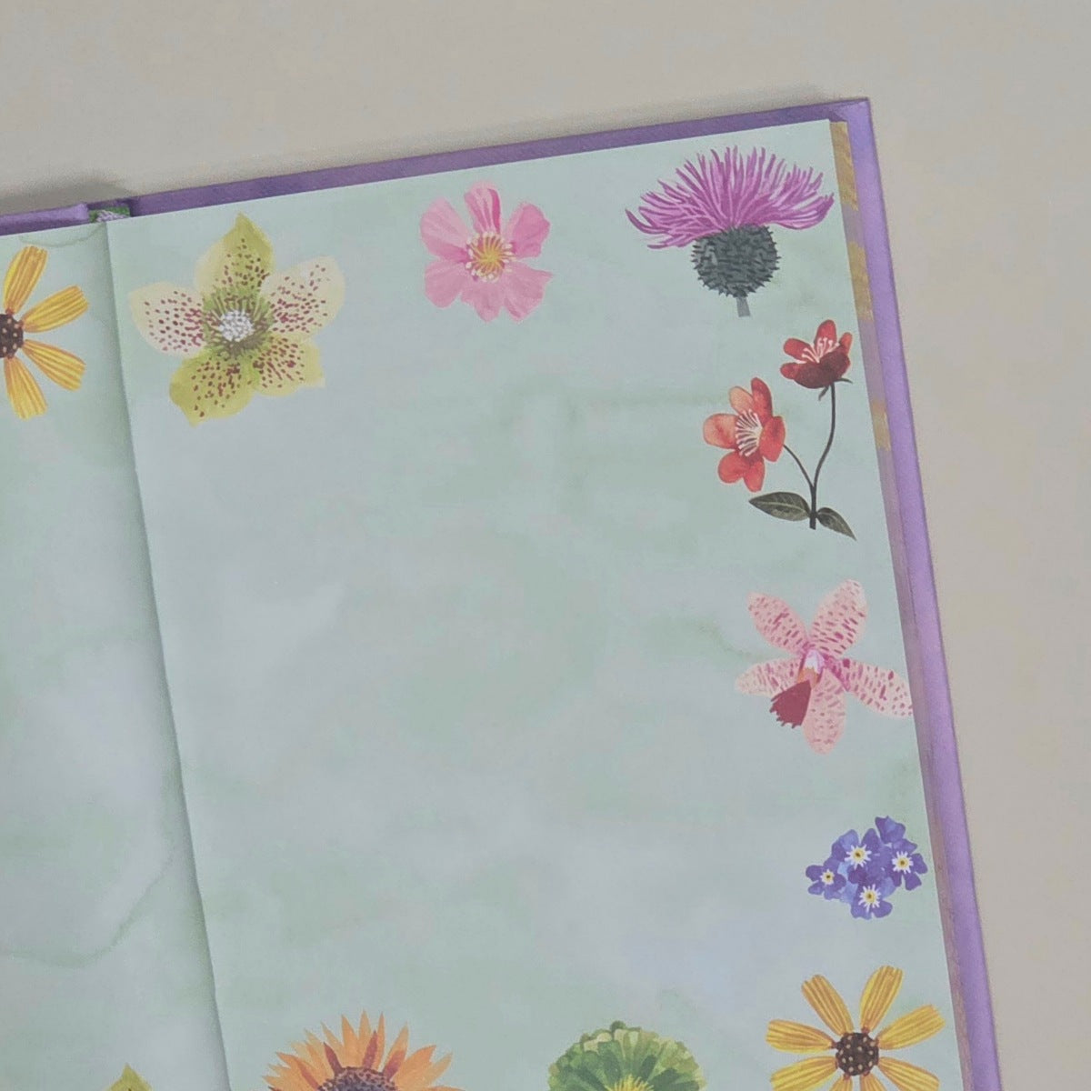 Illustrated Journal - Floral Supernova