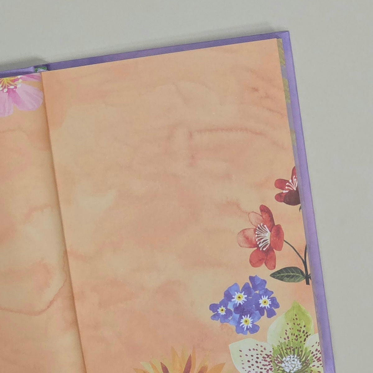 Illustrated Journal - Floral Supernova