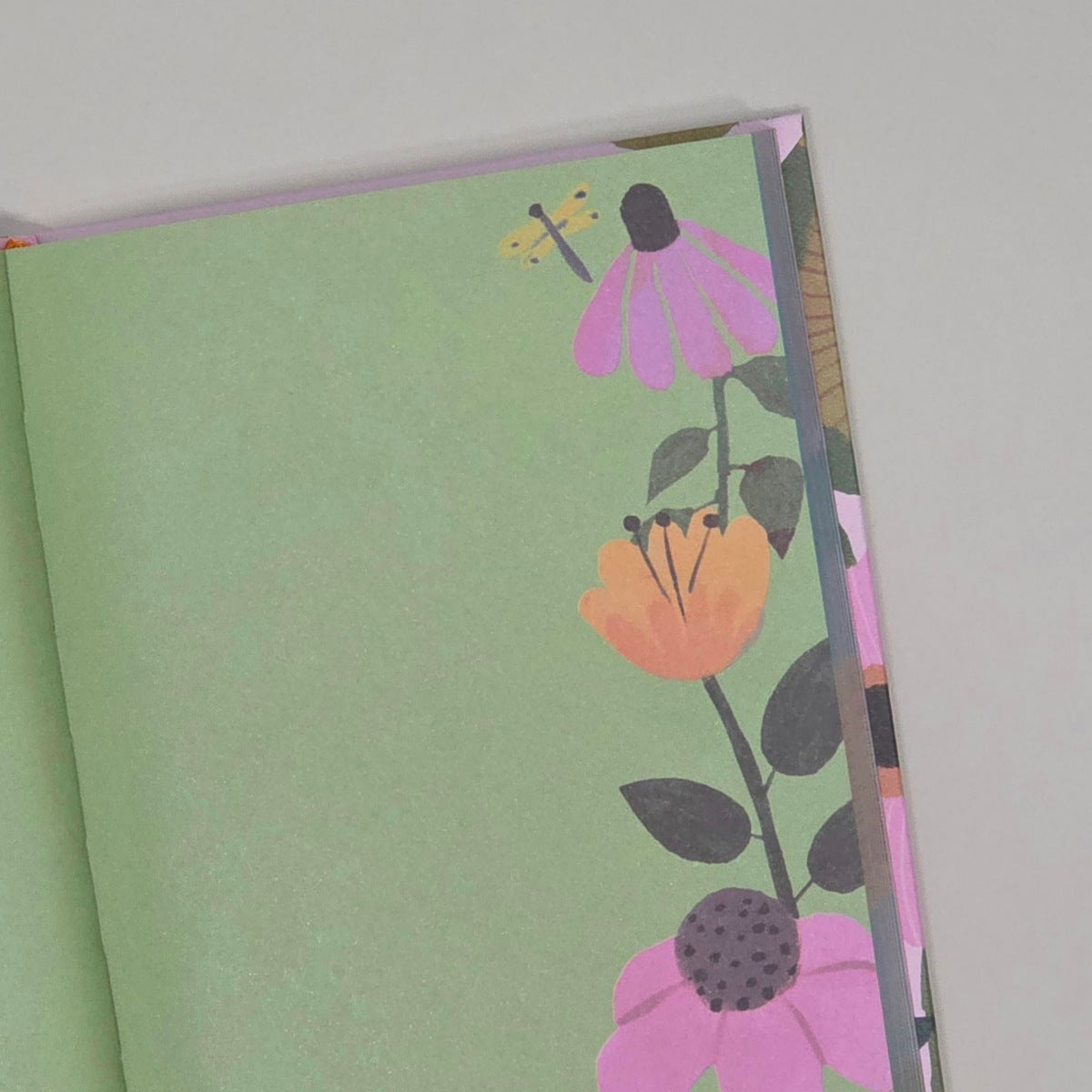 Illustrated Journal - 'Sunday Morning'
