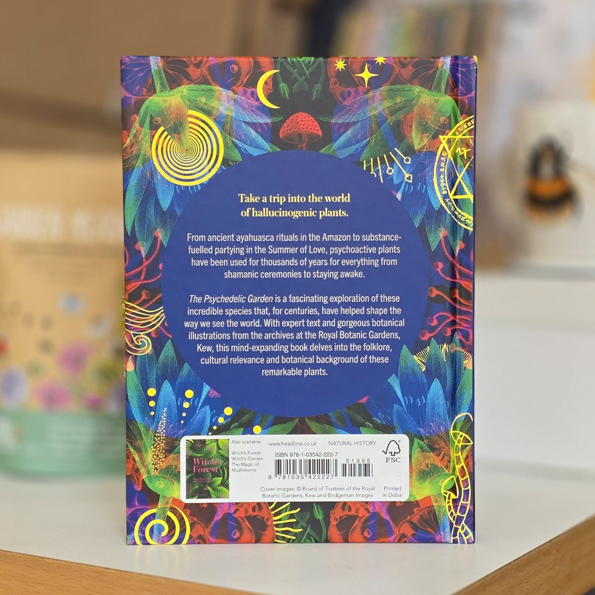 Colourful back book cover with psychedelic patterns and text on a blurred background