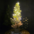 Decorative eucalyptus tree with lights and hessian fabric base on a dark background