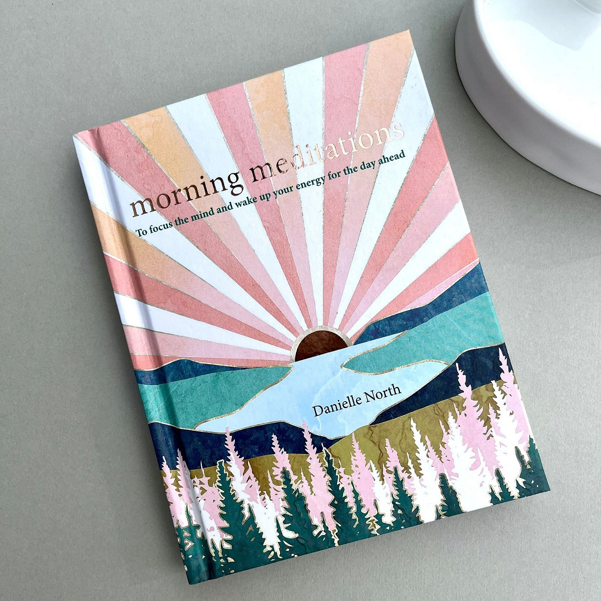 Book titled 'Morning Meditations' by Danielle North with a colorful cover design on a grey surface.
