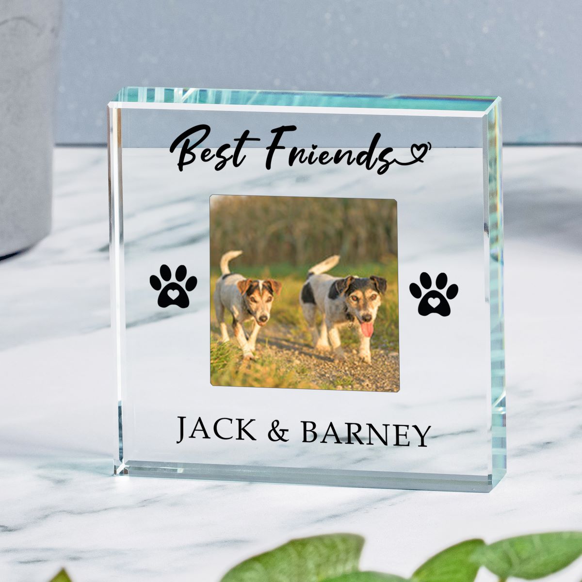 A clear glass  keepsake plaque engraved with 'Best Friends' and 'JACK & BARNEY' with black paw prints, featuring a custom photo of two dogs, displayed on a marble surface.