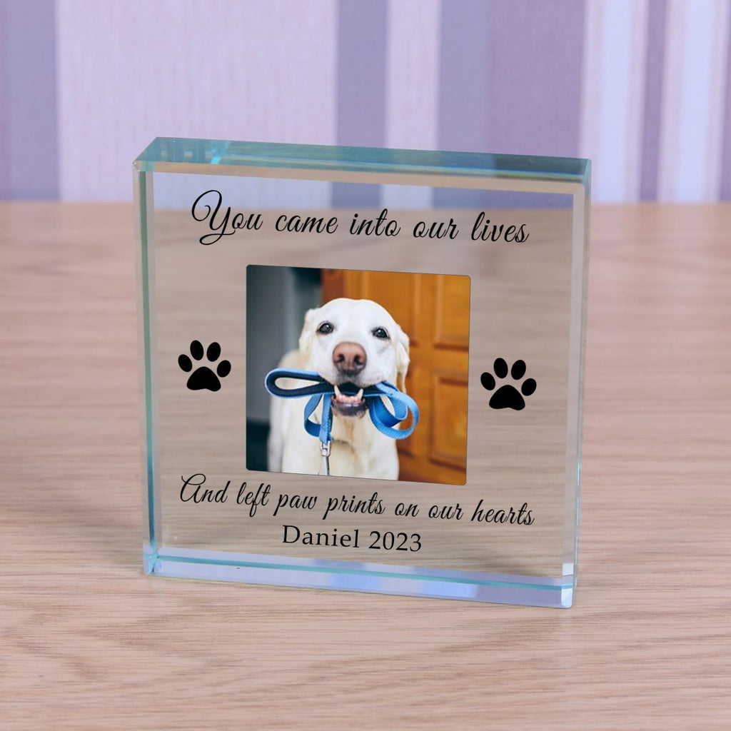 A personalised clear glass block pet memorial plaque standing on a wooden surface. The plaque features a photo of a white dog holding a blue lead, with black engraved text reading 'You came into our lives' and 'And left paw prints on our hearts Daniel 2023', along with two black paw prints.