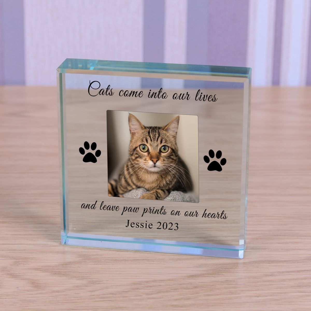 A personalised clear glass keepsake block on a light wood tabletop. The plaque features a photo of a brown tabby cat, black paw print silhouettes, and the engraved text 'Cats come into our lives', 'and leave paw prints on our hearts', and 'Jessie 2023'.