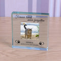 Glass plaque with a photo of a cat named Simba, engraved text 'Forever loved, never forgotten' and 'Simba Always in our hearts', on a wooden surface.
