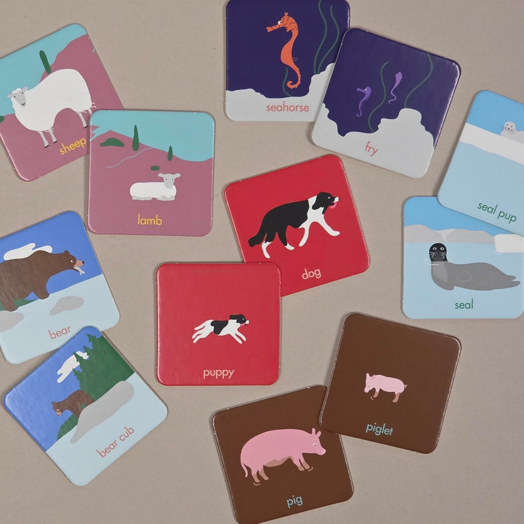 Various cards with matching animals
