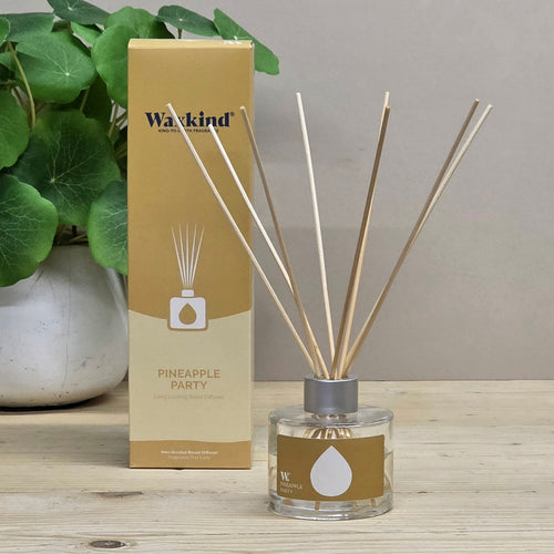 A reed diffuser bottle with wooden reeds and a clear glass base stands beside its matching tan box on a light wood surface. A potted green plant is visible in the background against a neutral wall.