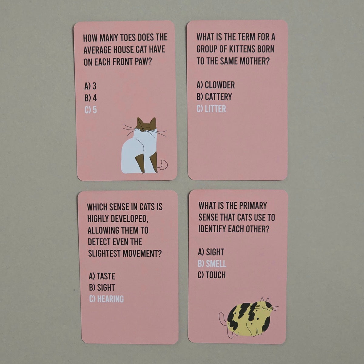Four pink trivia cards about cats arranged in a 2x2 grid on a flat gray surface. The cards feature black text with multiple-choice questions, one with a cat illustration and one with a cat face illustration.