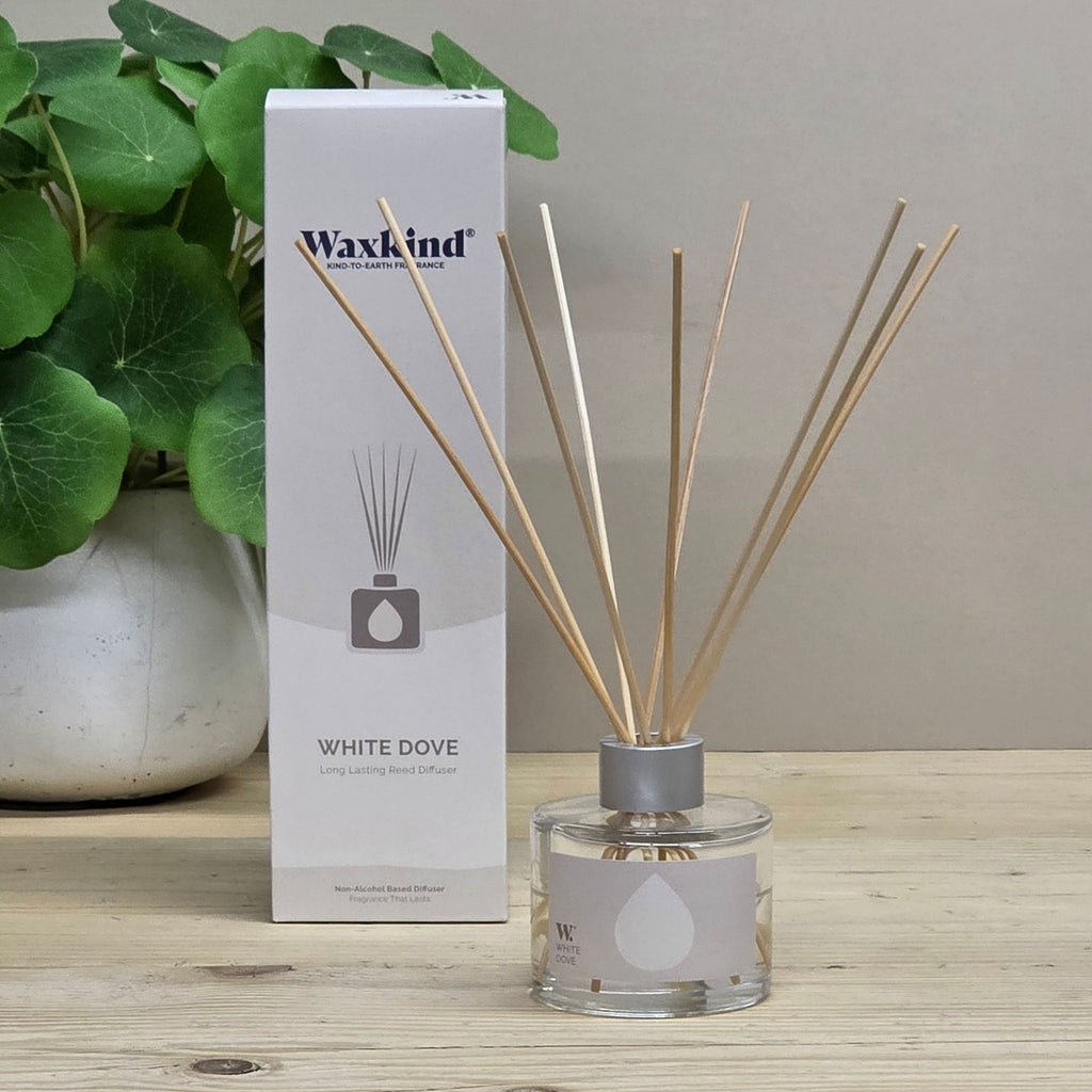 Waxkind White Dove reed diffuser bottle with natural wood reeds and its white packaging box, displayed on a light wooden tabletop next to a green potted plant.