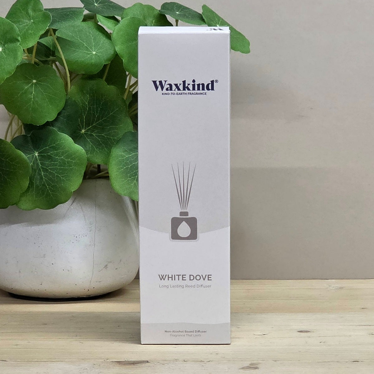 A tall white rectangular box for Waxkind reed diffuser, labeled 'White Dove', standing on a light wood surface with a potted green plant behind it against a beige wall.